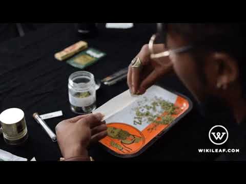 COBY-STRAIGHT OUTTA TABAK MALA