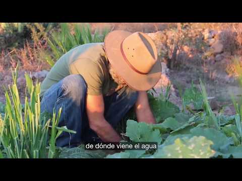 Master Permaculture Design: PDC Certification Course