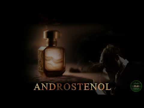 ANDROSTENOL 2.0