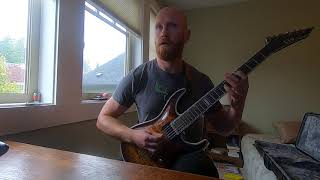 Amon Amarth - For The Stabwounds In Our Back (COVER)