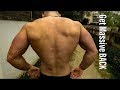 Beginner BACK & BICEPS Workout (Calisthenics) - BODYWEIGHT