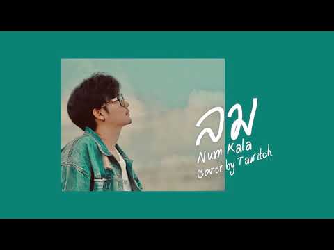 ลม - หนุ่ม กะลา  | cover by เตวิชญ์