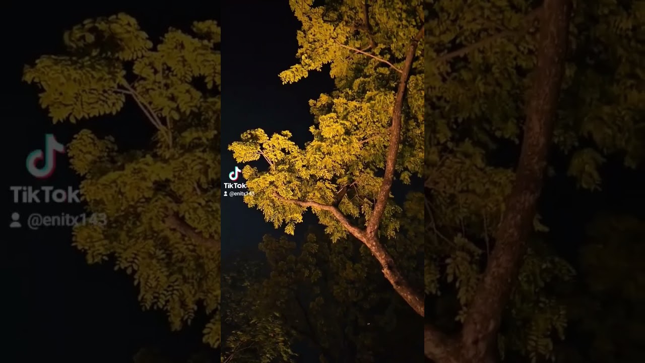 KAHIT SOBRA AKO NASAKTAN MANGINGIBABAW PA DIN ANG MAGPATAWAD