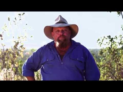 Review of the New Range of Solar Blankets from REDARC