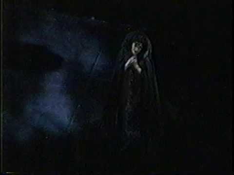 Irasema Terrazas - Wishing You Were Somehow Here Again