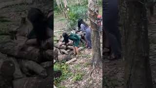 Download lagu duo ALLICA MUSIC PALEMBANG mp3 Download lagu duo ALLICA MUSIC PALEMBANG mp3