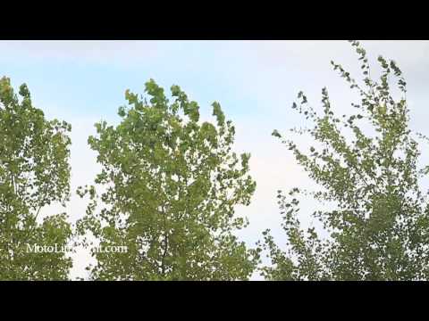 Mike Sottile // Jake Abbot // 2011 Shots