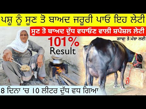 8 ਦਿਨਾ ਚ 10 ਲੀਟਰ ਦੁੱਧ ਵਧ ਗਿਆ ਦੇਖੋ, Pashu ka dudh badhane ka tarika, Increase milk in buffalo-Cow