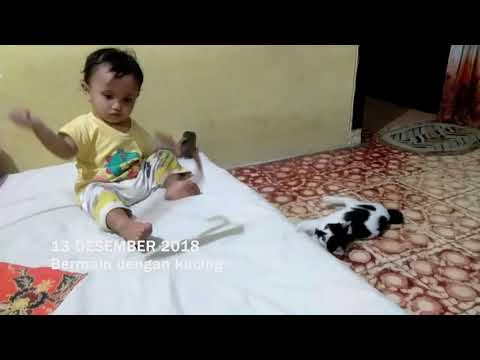 NAZRA BERMAIN DENGAN KUCING