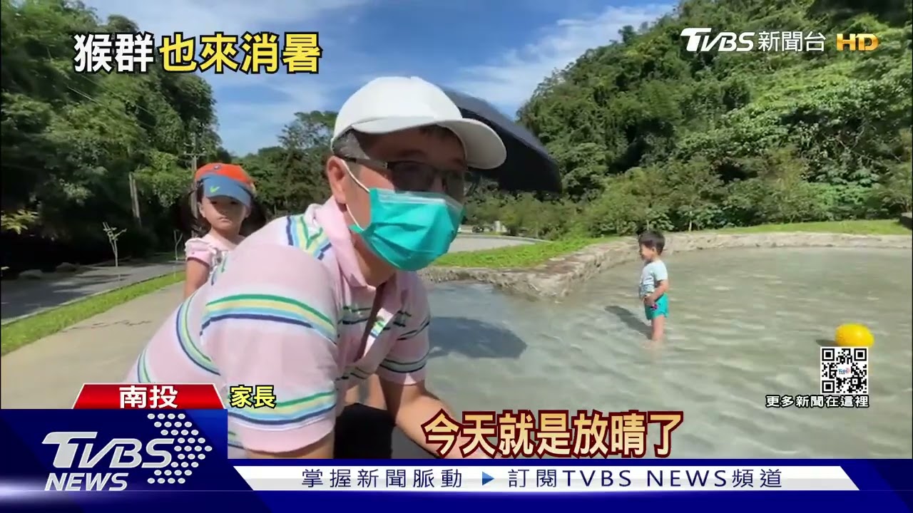 溪頭人少!猴子成群消暑 水池變「獼猴泳池」