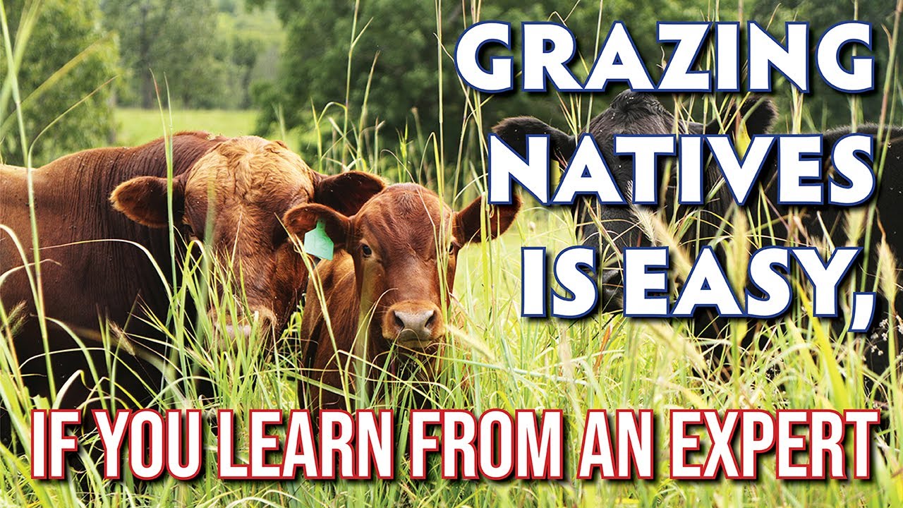 Grazing Strategies For Native Grasslands