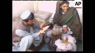 Opium growing continues in Afghanistan.