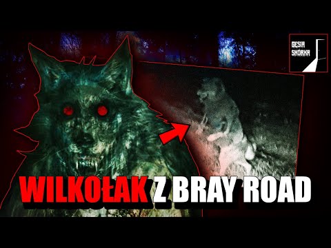 Gęsia Skórka #89 BESTIA z BRAY ROAD - Prawdziwa Historia WILKOŁAKA z Ameryki!