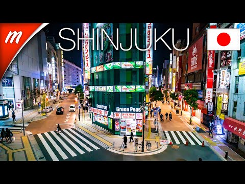 Shinjuku Station, Zara, BICQLO and more | TOKYO WALKING TOURS
