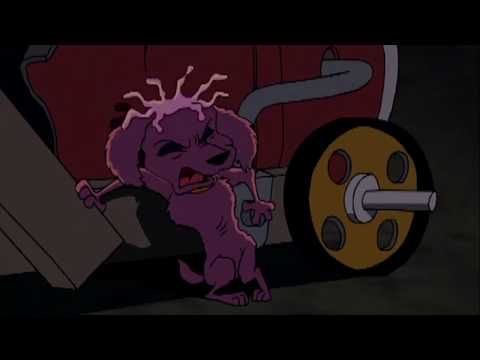 The Wolf Dog King - Part 7 The Elephant Graveyard