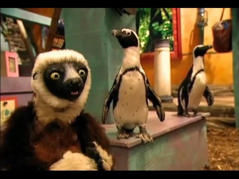 Zoboomafoo Cap. 34: "Criaturas Acuáticas"