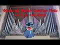 Hawaiian Roller Coaster Ride from Lilo and Stitch (Organ Cover)