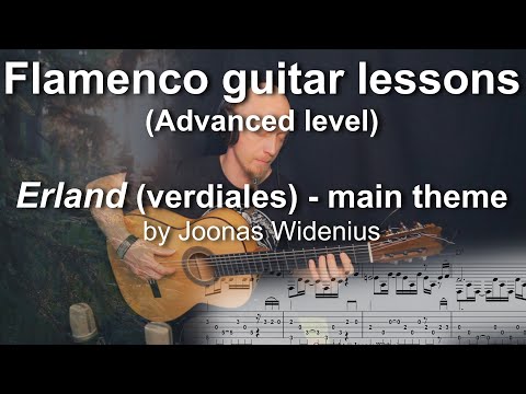 Flamenco guitar lessons - Advanced level - Erland (verdiales) main theme by Joonas Widenius