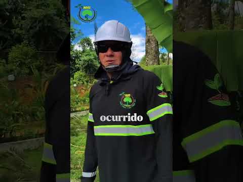 🌳 Poda Preventiva de Árboles en Cúcuta | Cómo Evitar Accidentes y Proteger tu Propiedad