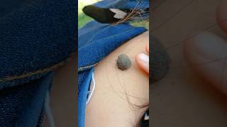 Download lagu Tahi lalat #diy #kreatif #viral #art #craft #madep mp3