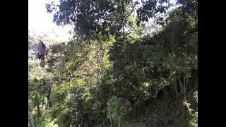 preview picture of video 'Zipline in 7 Falls, Lake Sebu, South Cotabato'
