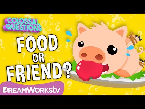 Why Do We Eat PIGS, but Not CATS? | COLOSSAL QUESTIONS