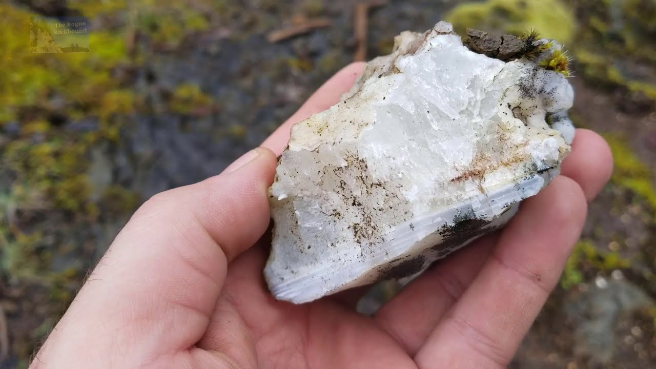 Oregon Rocks!: Rockhounding Oregon| Finding A Giant Jasper/Agate Seam.