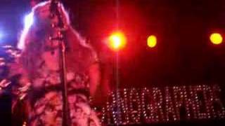 new pornographers my rights versus yours showbox seattle