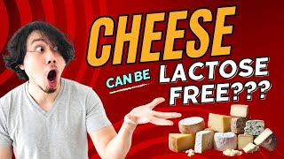 What Cheeses Are Lactose Free? (Guide For Lactose Intolerant Cheese Lovers)
