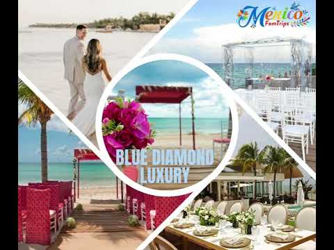 Videos del Blue Diamond Luxury Boutique 5★ en Playa del Carmen, MéxicoVerPrecios20CerrarConsulta por Whatsapp 🇦🇷BookingTripadvisorExpediaAgodaTravelocityOrbitzPricelineTripSkyscannerDespegarKayakHotelesBestdayDestiniaTrivagoTurismocityAlmundoLastminuteHotwireTui