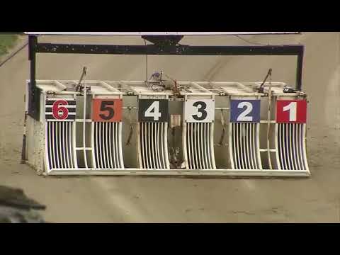 Swindon Produce Stakes Second Round Heat 3 - Acomb Lillian