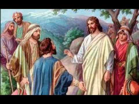 23º Domingo do Tempo Comum