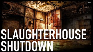 How To Shut Down A Slaughterhouse [NOT Graphic]