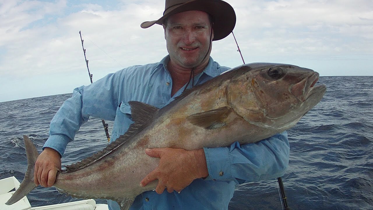 #SHORTS  How to catch big Snapper & Grouper in shallow water