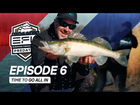 Time to go All In - Episode 6 EFL 2023