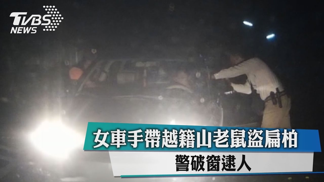 女車手帶越籍山老鼠盜扁柏　警破窗逮人
