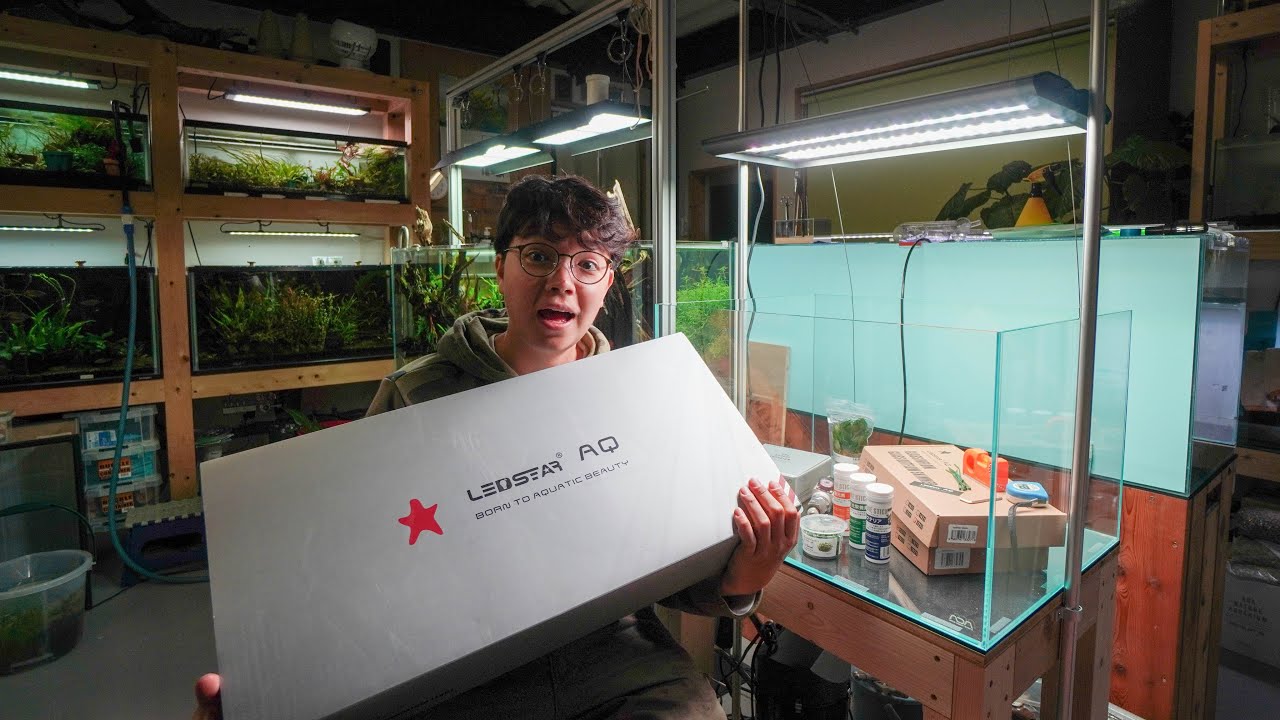 New RGBW LED Light for Aquascaping! LEDSTAR AQ-X60