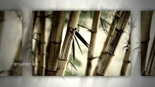 PANGARAP KO ANG IBIGIN KA BY SARAH GERONIMO ( with Lyrics)