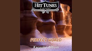 Perfect World (Originally Performed By Sawyer Brown) (Karaoke Version)