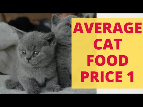 Cat Food Price Overview. What is Average Cat Food Cost? Cat Food Price Facts.