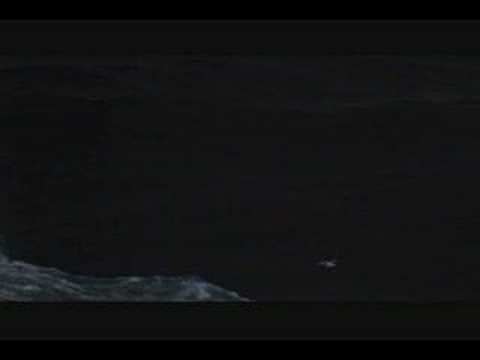 Jonathan Livingston Seagull - Lonely Looking Sky