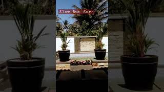 Download lagu Story wa terbaru || story wa30detik ||Suasana rumah #shorts #shortvideo #status mp3