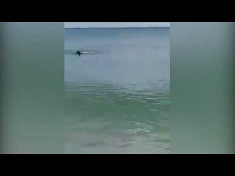 BOVALINO: YOUNG MAN SAVED BY CURRENT, SCUBA DIVER SAVES