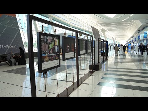 4000 مصور في خدمة الاستدامة