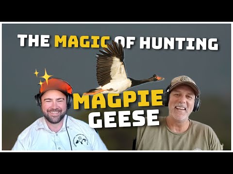 The Art of Magpie Goose Hunting: Tips, Tricks, and Cultural Insights