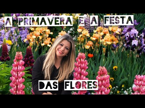 A primavera e a festa das flores - Silvana Guidotti