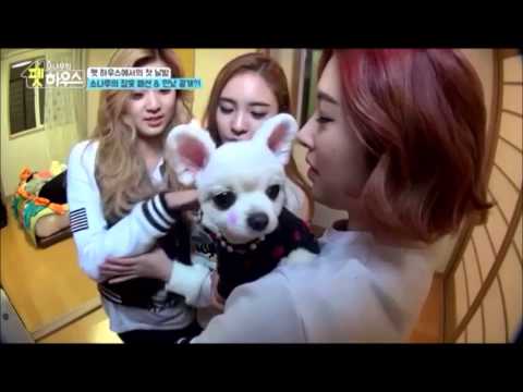 SONAMOO(소나무) D.ana 愛嬌道画 4 Happy birthday