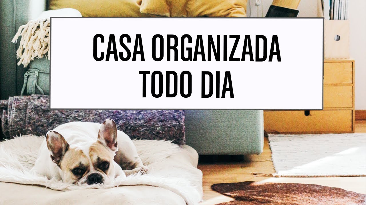 Como organizar a casa todos os dias | Thais Godinho