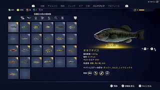 2024　12月　生存報告　釣りにわか勢による川のぬし釣り #3