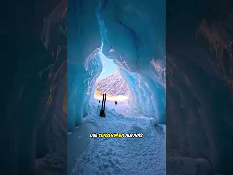 Agua pura en el Ártico y la verdad sobre ella